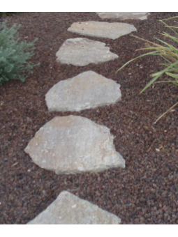 Pas Japonais Gneiss