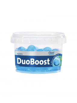 DuoBoost