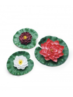 Pontec PondoLily Set 3