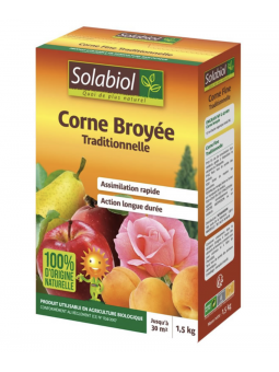 Corne Broyée
