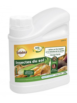Insecte du Sol
