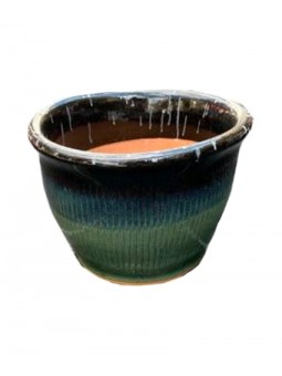 Coupe Frog Ronde