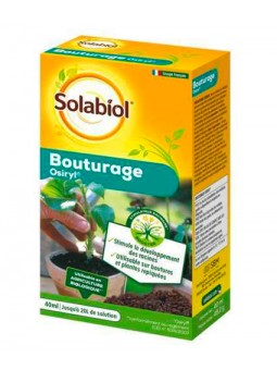 Bouturage Osiryl