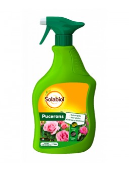 Insecticide Pucerons