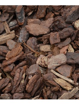 Ecorce de Pin