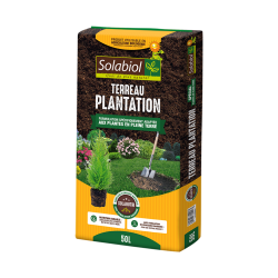 Terreau Plantation