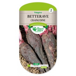 Betterave crapaudine