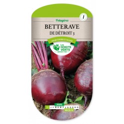 Betterave de Détroit 3