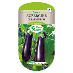 Aubergine de Barbentane