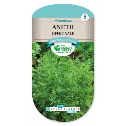 Aneth officinale