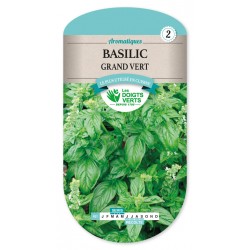 Basilic grand vert