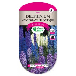 Delphinium vivace géant du...