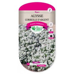 Alysse corbeille d'argent