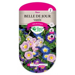 Belle de jour variée