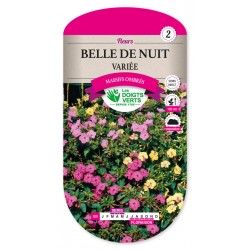 Belle de nuit variée