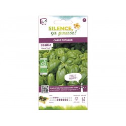 Basilic Grand Vert Bio